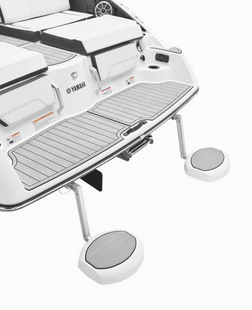 Boat 25ft 252S - Feature 1.png
