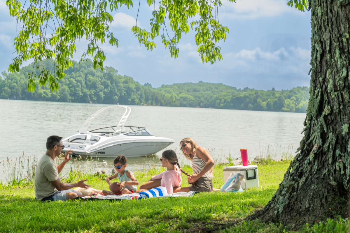 Boats Yamaha Advantage S CURVE 3.png