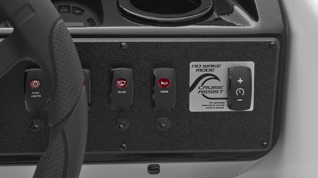 Integrated Cruise Assist