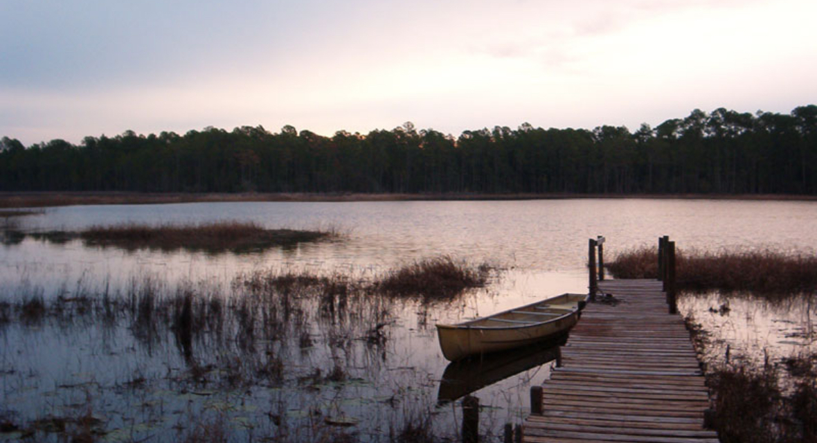 St Johns River